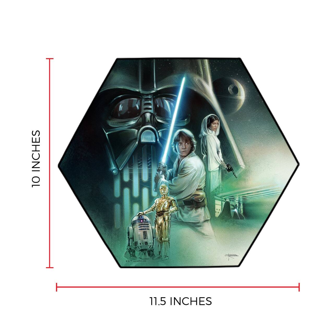 10 INCHES  
11.5 INCHES