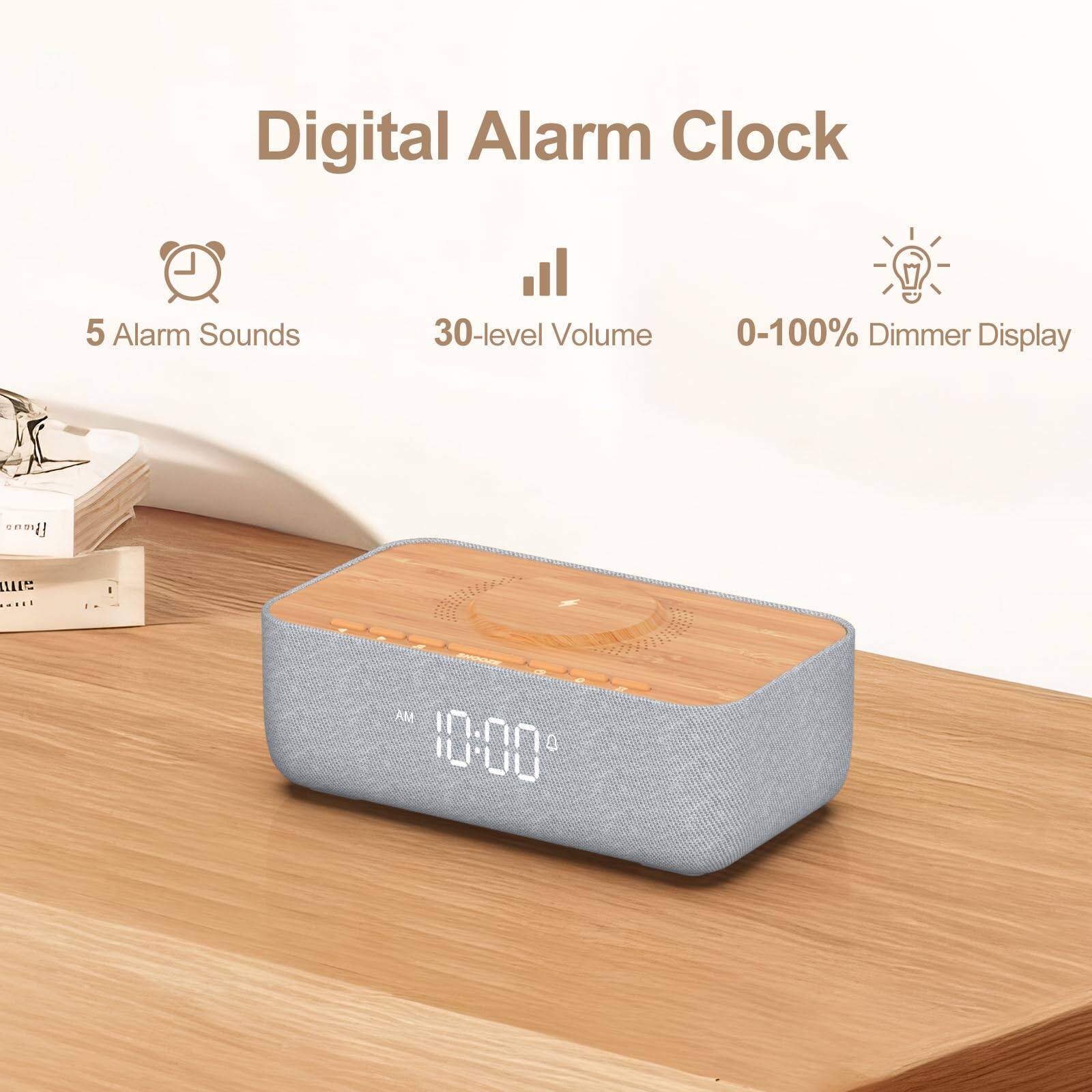 Digital Alarm Clock  
5 Alarm Sounds  
30-level Volume  
0-100% Dimmer Display  

AM 10:00