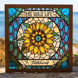 This Wild Life - Petaluma - VINYL LP