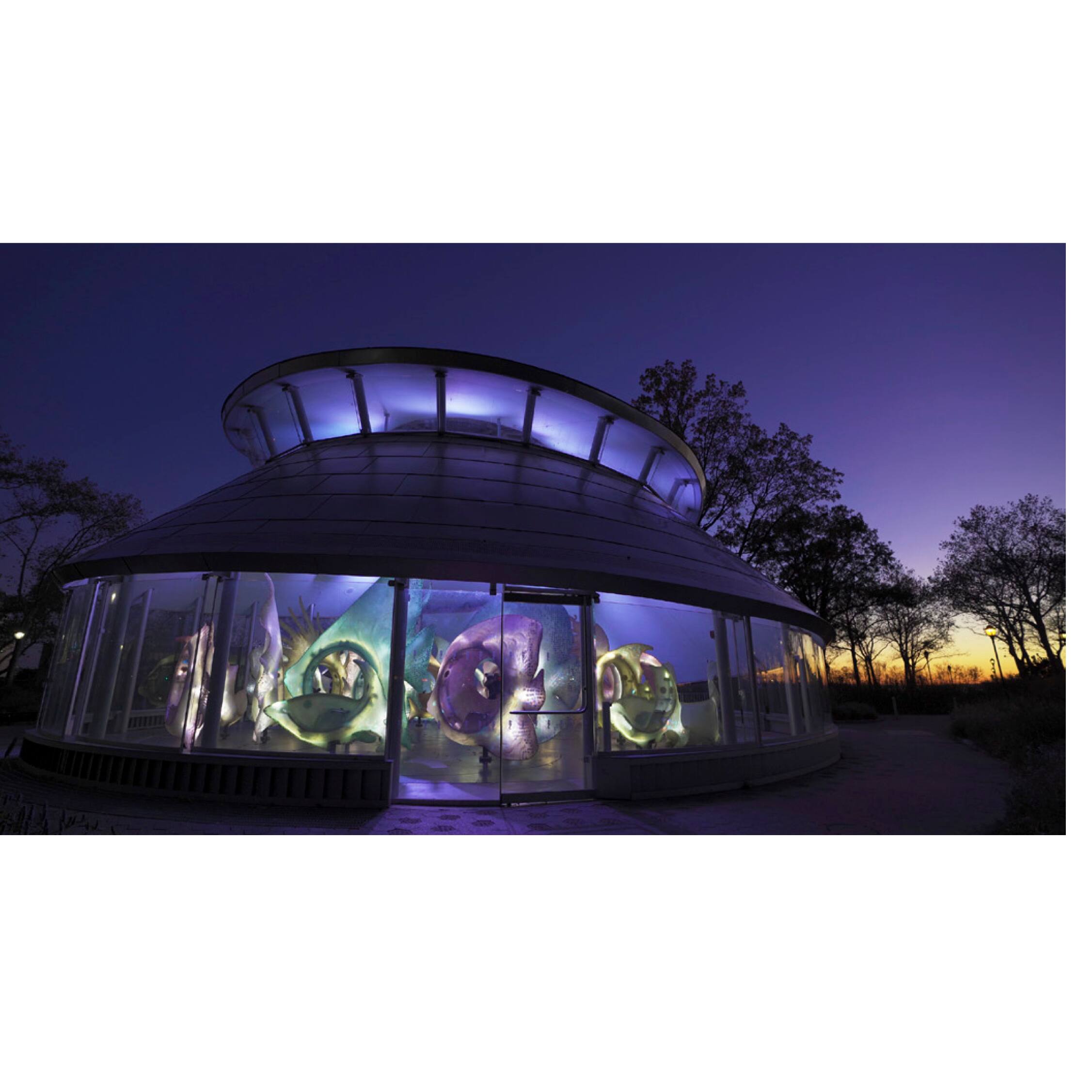 Alt View 1. Sony - a7 III Mirrorless 4K Camera ILCE-7M3 + DJI Ronin-SC Gimbal Filmmakers Kit.