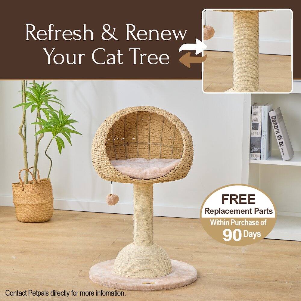 Refresh & Renew Your Cat Tree

FREE Replacement Parts Within Purchase of 90 Days

Contact Petpals directly for more information.