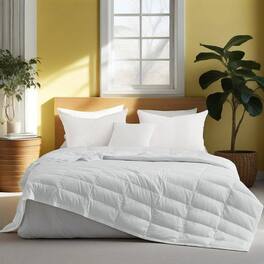 Puredown - Cooling Luxurious White Down Blanket with Satin Trim Soft Bed Cover, Tencel, 90x108 inches - Light Gray