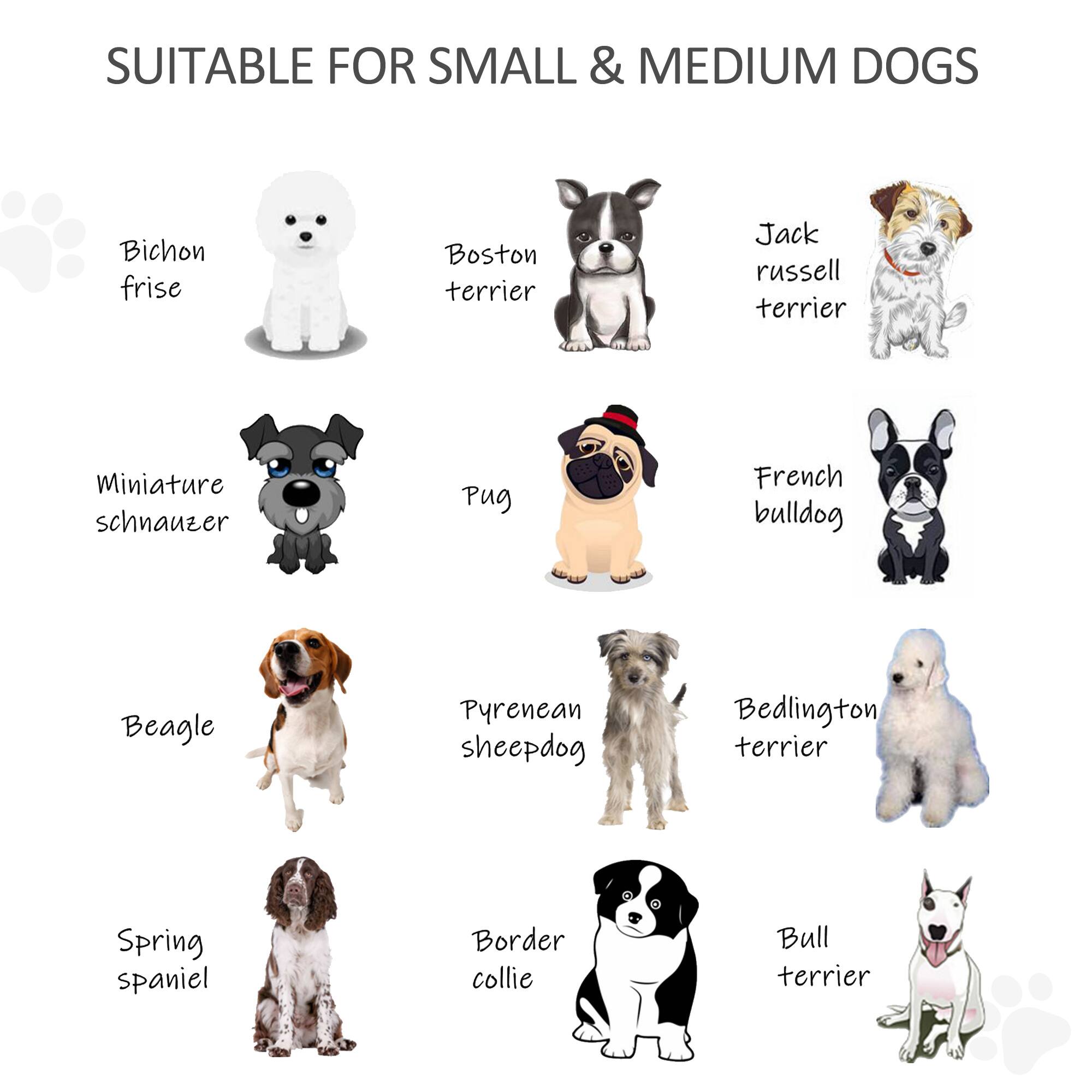 SUITABLE FOR SMALL & MEDIUM DOGS

- Bichon frise
- Boston terrier
- Jack russell terrier
- Miniature schnauzer
- Pug
- French bulldog
- Beagle
- Pyrenean sheepdog
- Bedlington terrier
- Spring spaniel
- Border collie
- Bull terrier