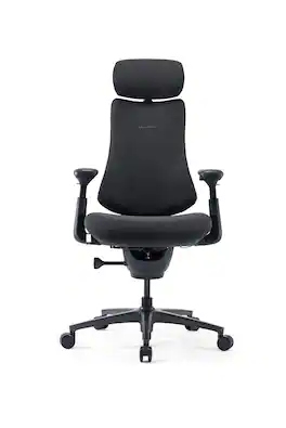 LiberNovo - Omni Pro Dynamic Ergonomic Chair-Standard Seat 45cm - Graphite