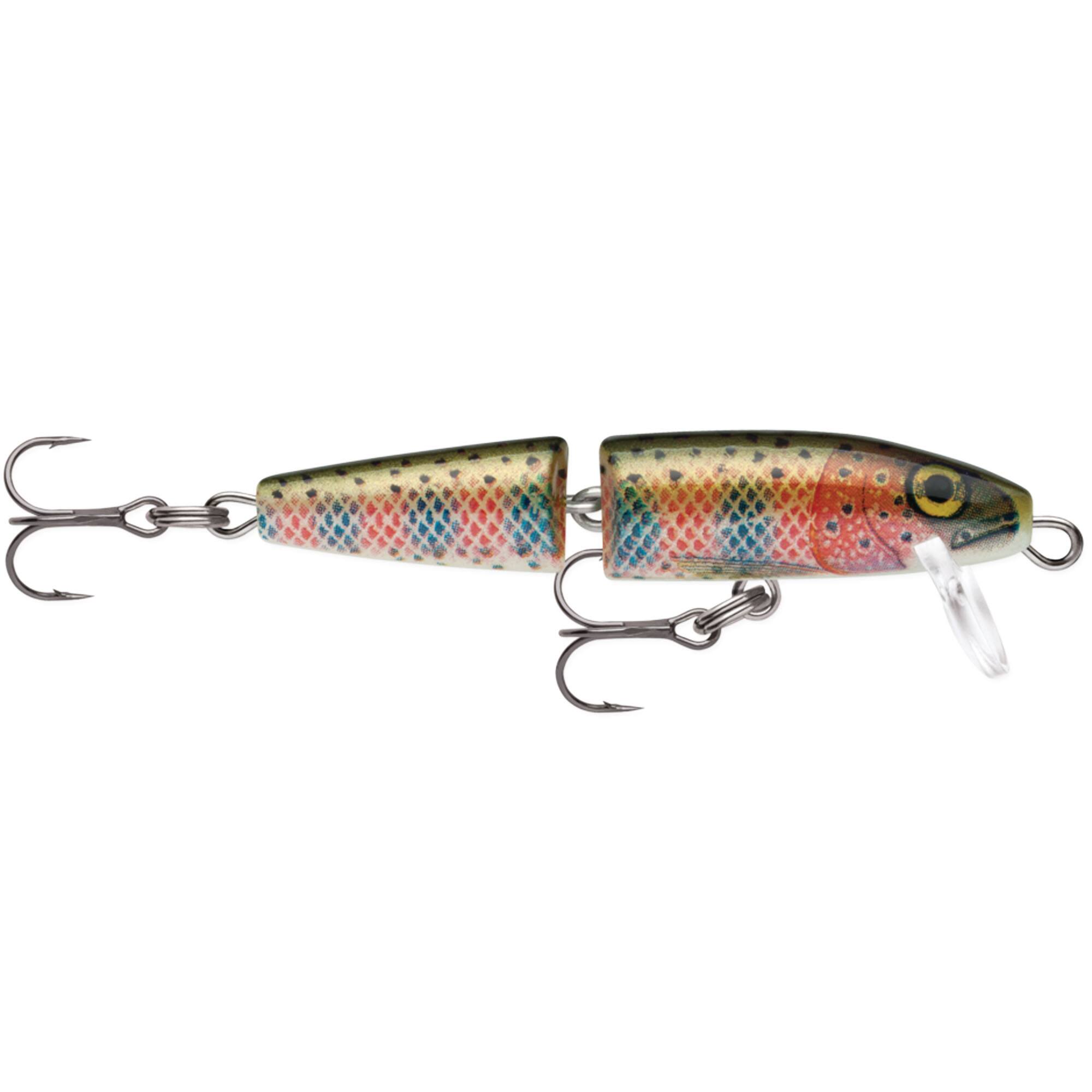 Rainbow Trout