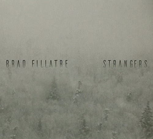 Brad Fillatre - Strangers   - COMPACT DISCS [CD] price history on PriceWatchPro