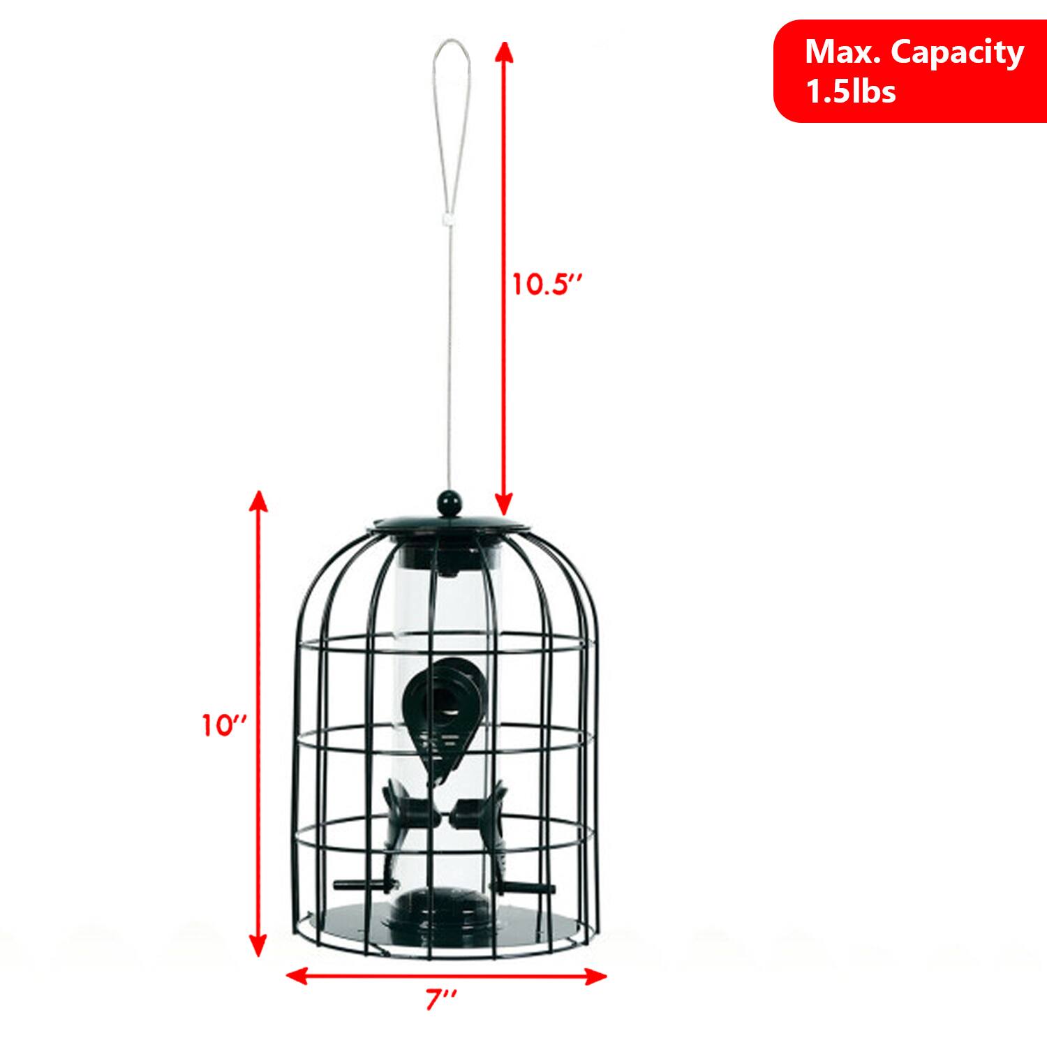 Max. Capacity 1.5lbs  
10.5"  
10"  
7"