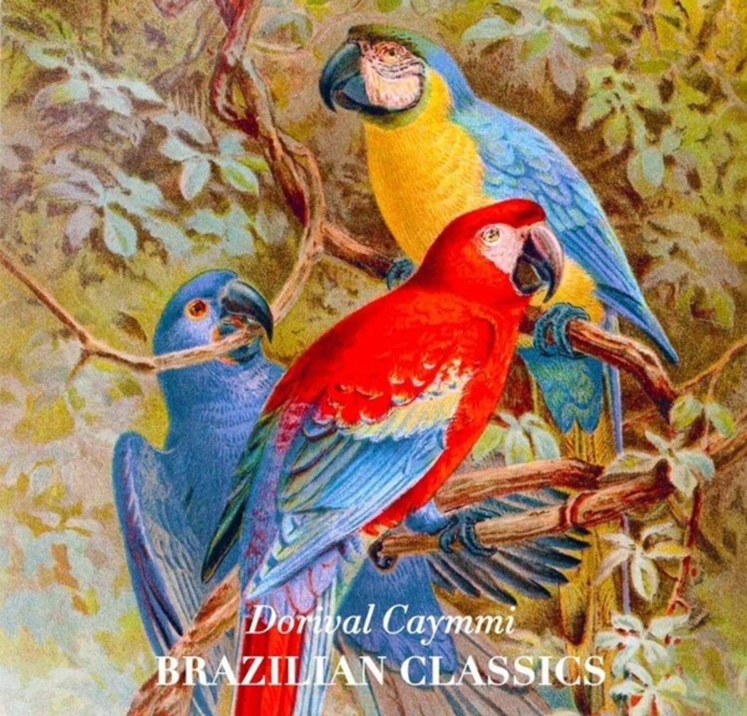 Dorival Caymmi - Brazilian Classics   - VINYL LP price history on PriceWatchPro