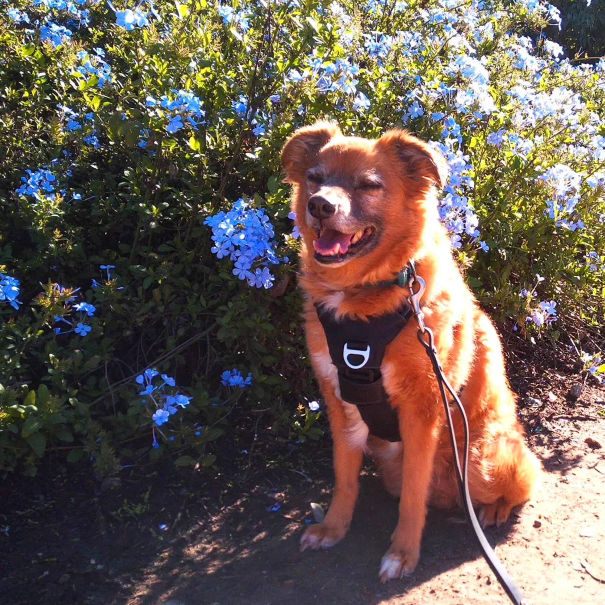 Alt View 11. Camp Snap - Camp Snap CS-Pro Screen Free Digital Camera - Black.