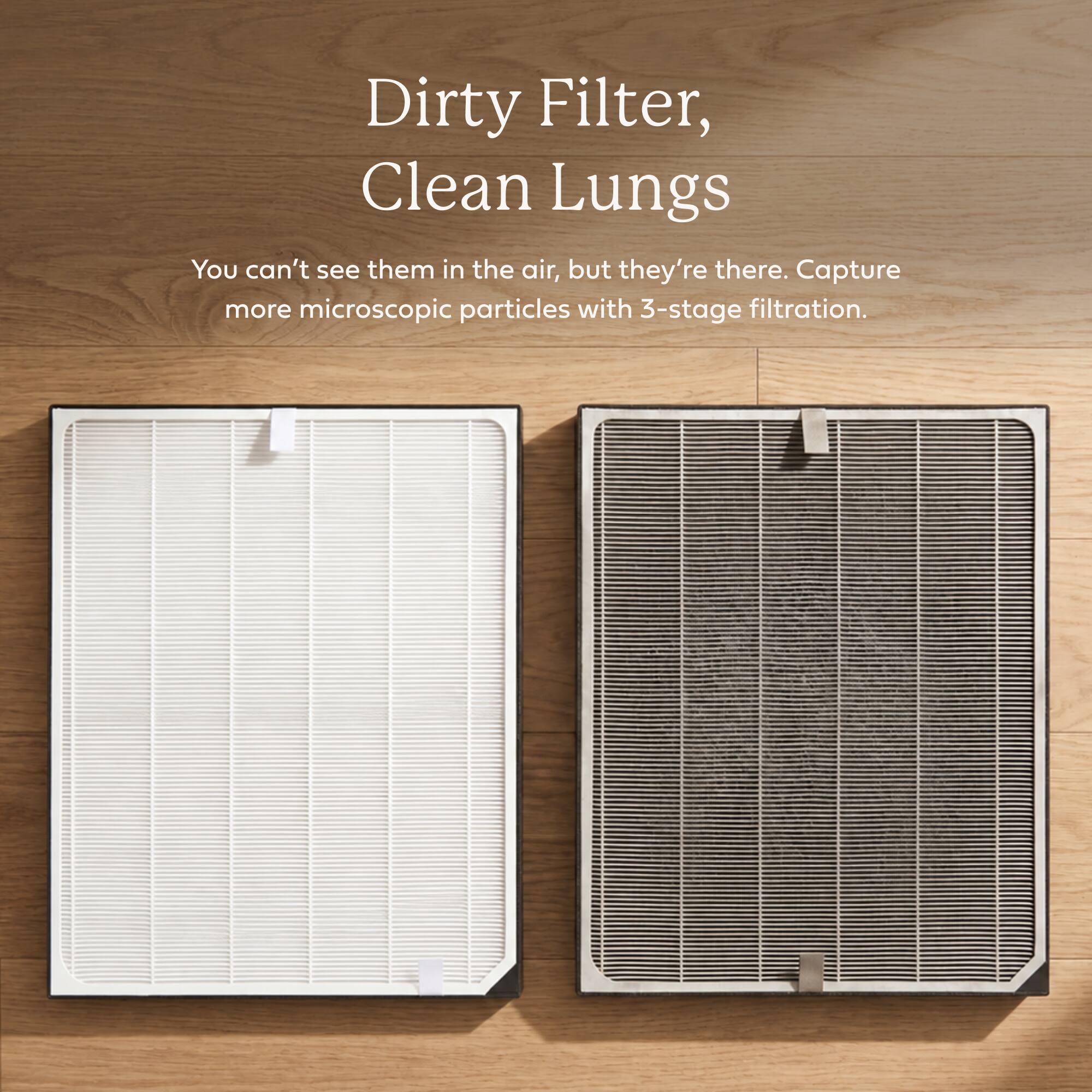 Dirty Filter, Clean Lungs  
You can't see them in the air, but they're there. Capture more microscopic particles with 3-stage filtration.