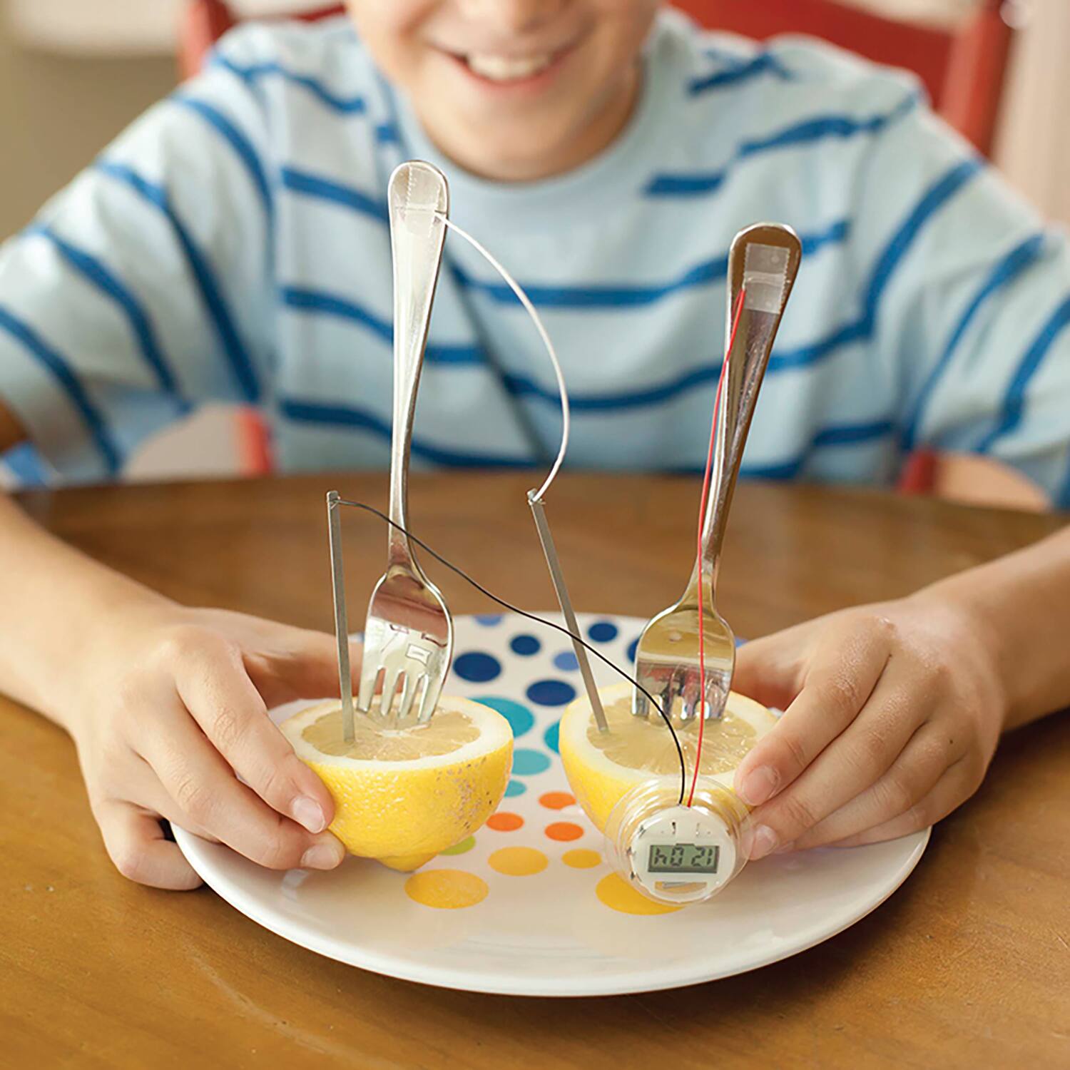 Back. 4M - 4M: KidzLabs Lemon Clock - DIY Renewable Energy Kit, Power Digital Clock, STEM.