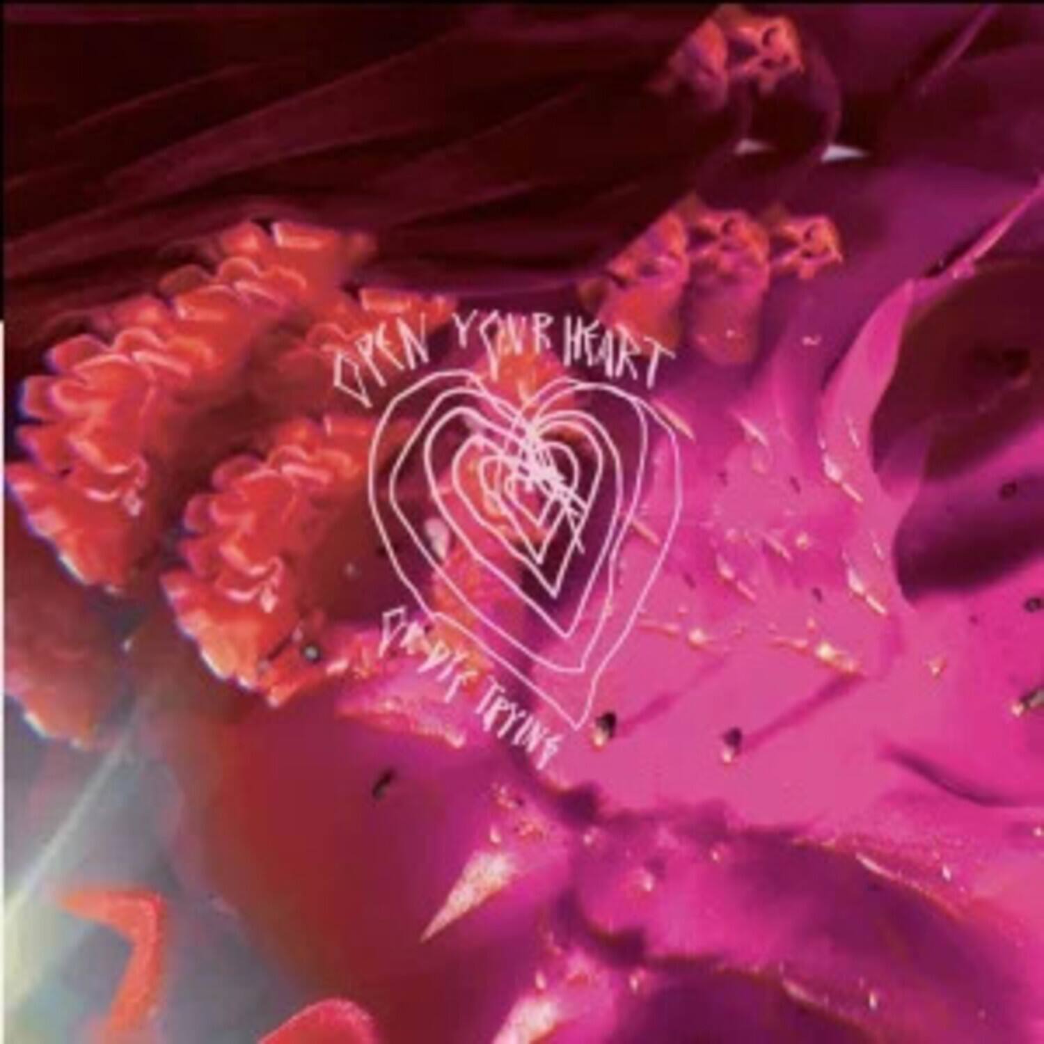 OPEN YOUR HEART  
TRYING