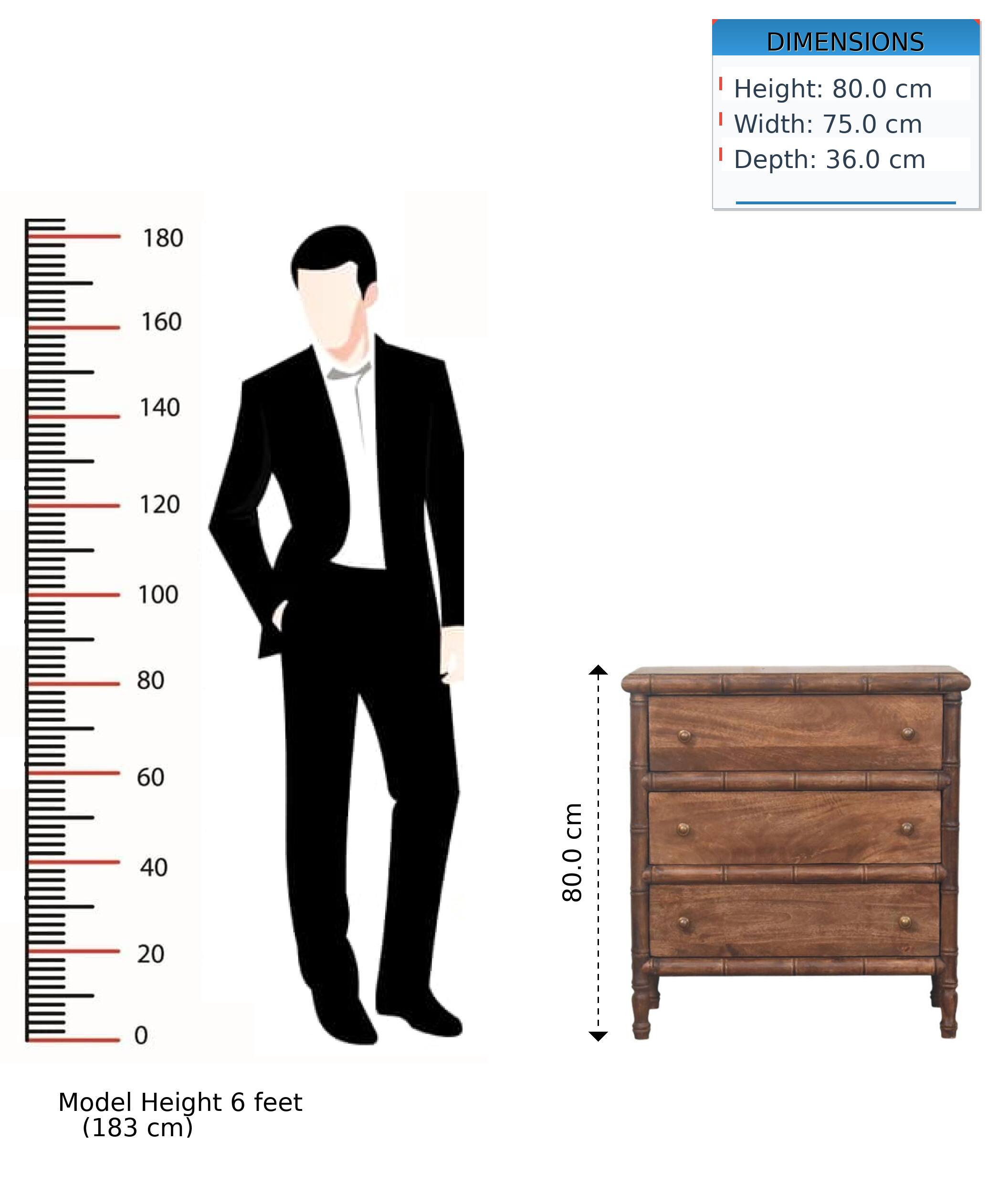 DIMENSIONS  
Height: 80.0 cm  
Width: 75.0 cm  
Depth: 36.0 cm  

Model Height: 6 feet (183 cm)