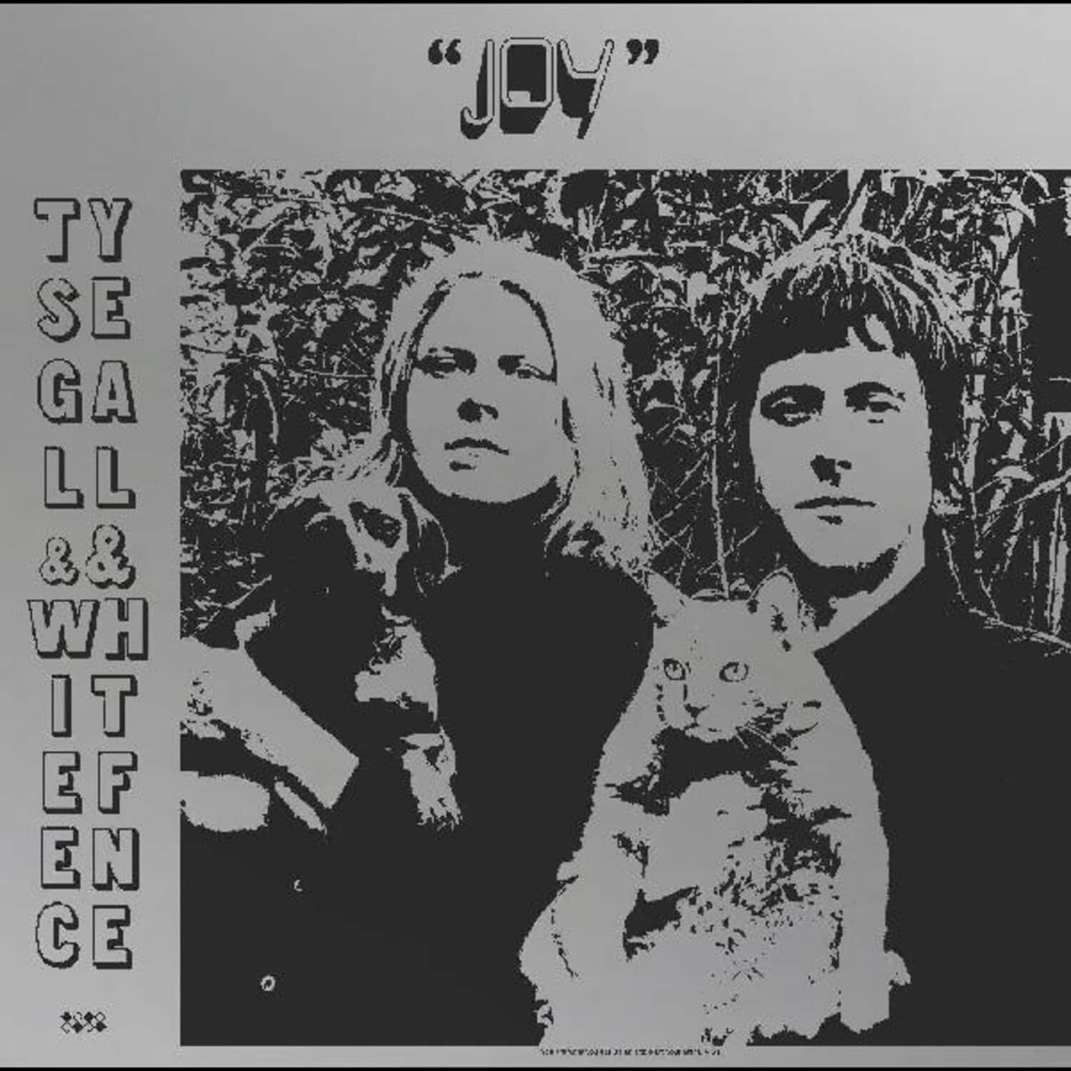 Ty Segall & White Fence - Joy   - COMPACT DISCS [CD] price history on PriceWatchPro