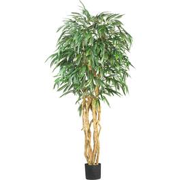 BreeBe - 6' Weeping Ficus Tree w/1008 Lvs - Green