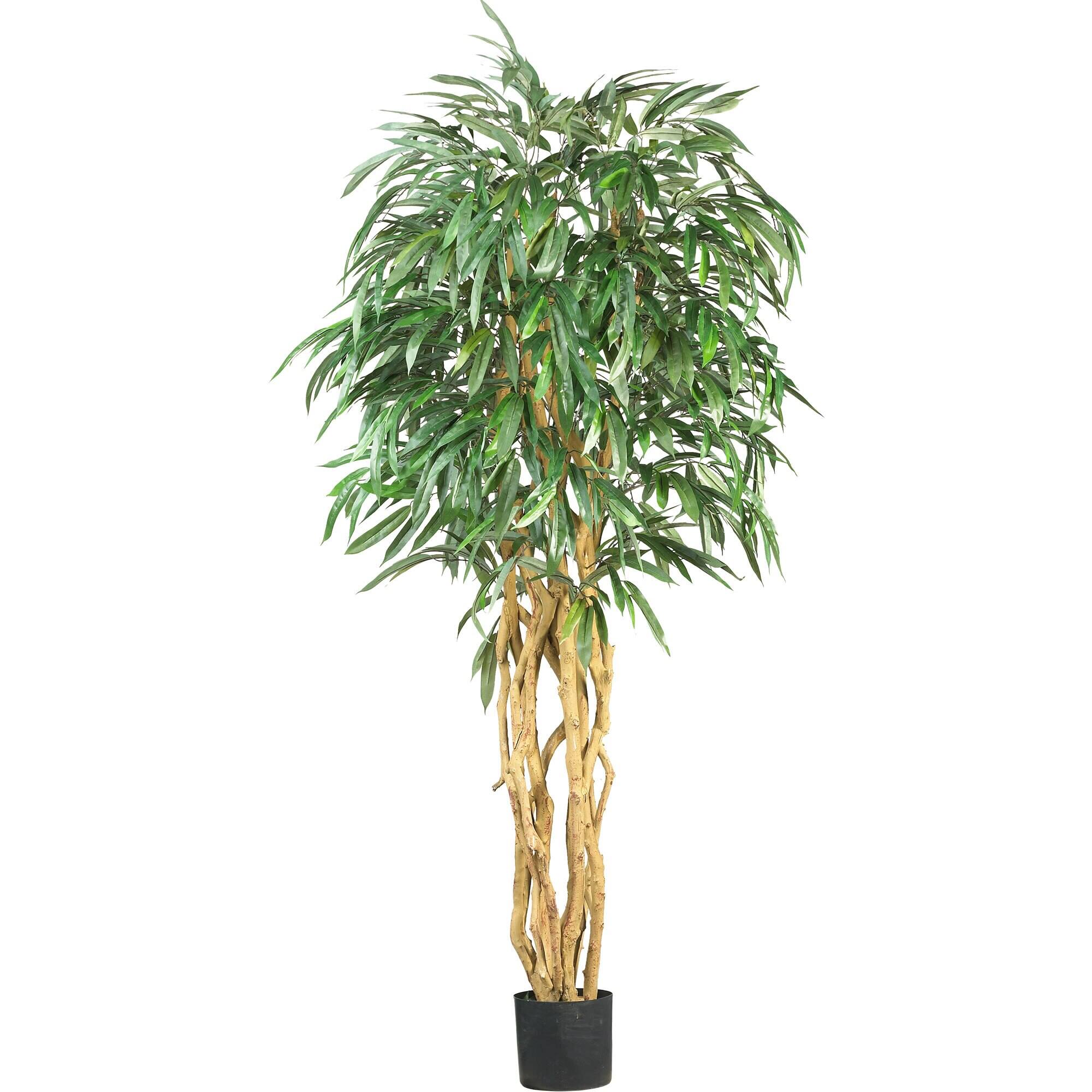 Front. BreeBe - 6' Weeping Ficus Tree w/1008 Lvs - Green.
