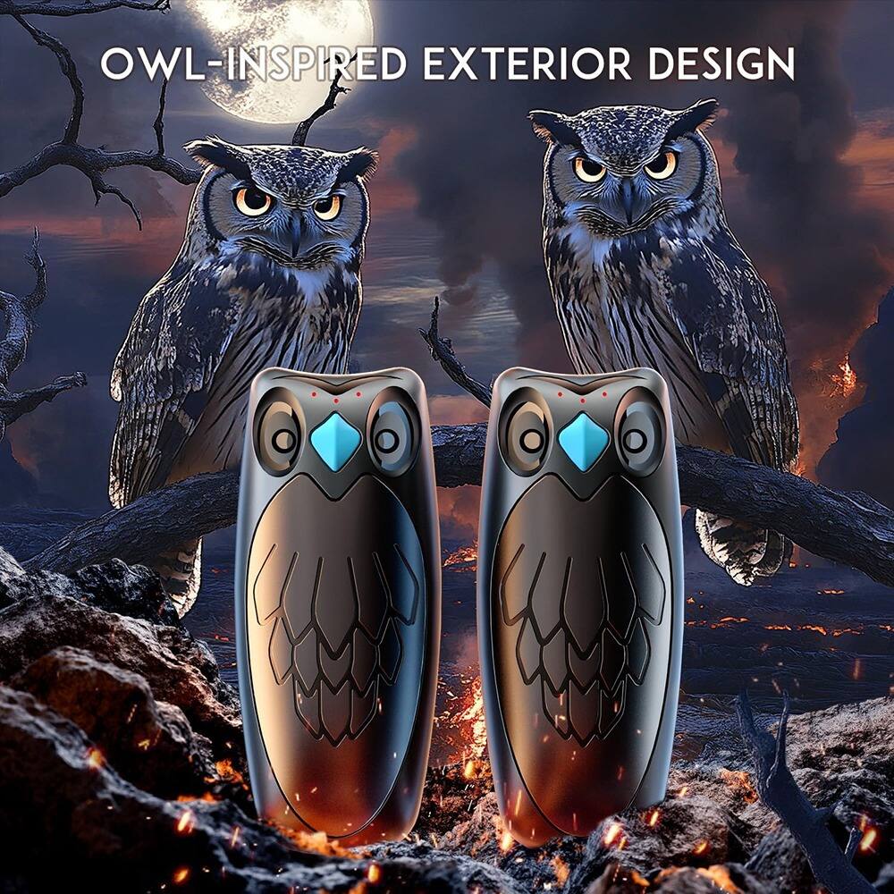 OWL-INSPIRED EXTERIOR DESIGN