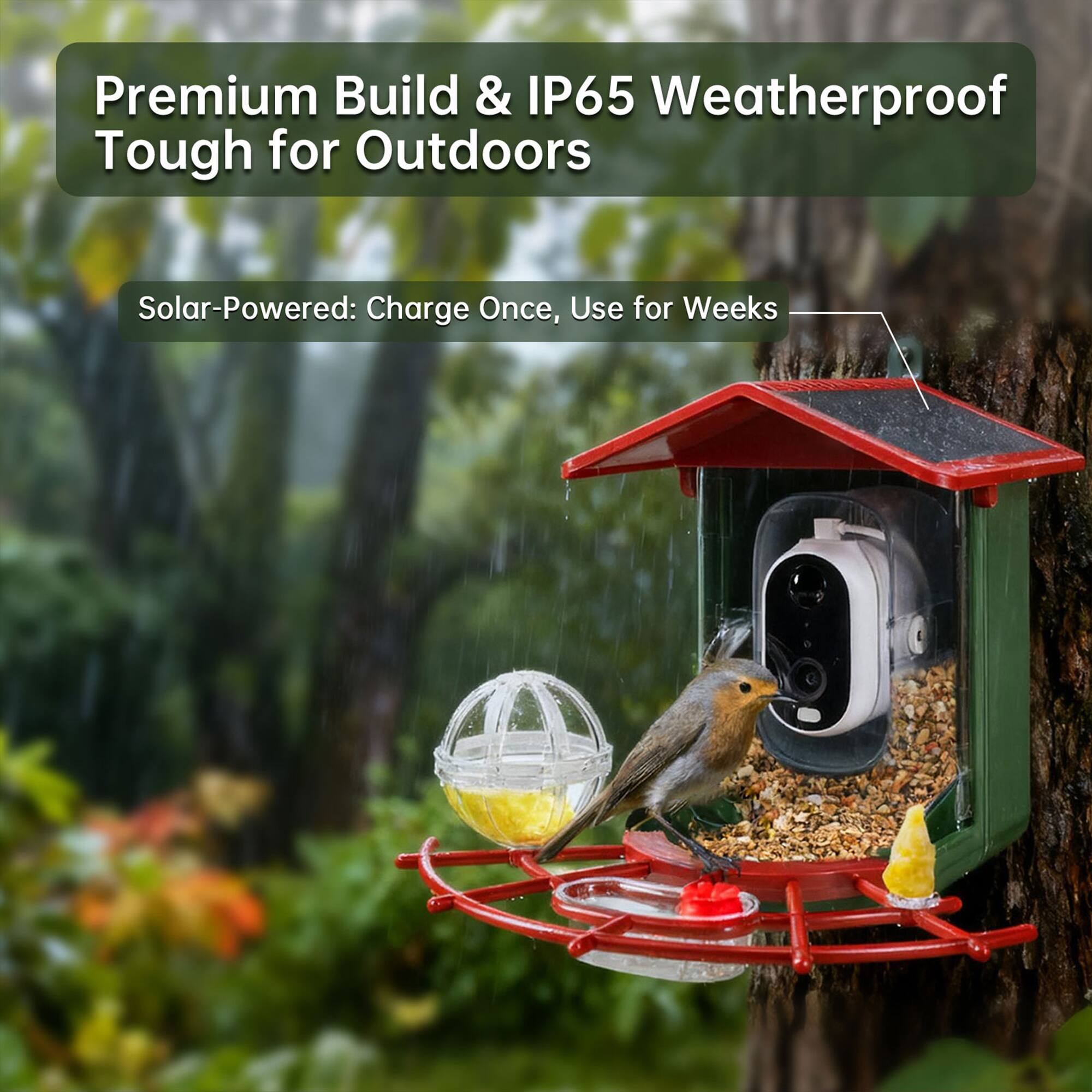 Premium Build & IP65 Weatherproof Tough for Outdoors

Solar-Powered: Charge Once, Use for Weeks