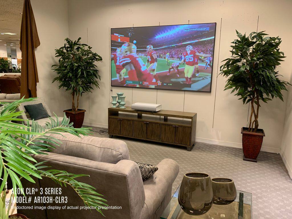 The image features a living room with a large flat-screen TV mounted on the wall. There are two couches in the room, one on the left side and another on the right side. A potted plant is placed near the left couch, and another potted plant is located near the right couch. The room also has a few vases, one on the left side and another on the right side. The TV is displaying a football game, and the room appears to be well-decorated and comfortable.