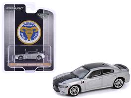 Greenlight - 2018 Dodge Charger SRT 392 Silver Metallic Black Stripe Mr. Norm Heritage GSS Charger Hobby Exclusive 1/64 Diecast - Silver Metallic With Black Stripe