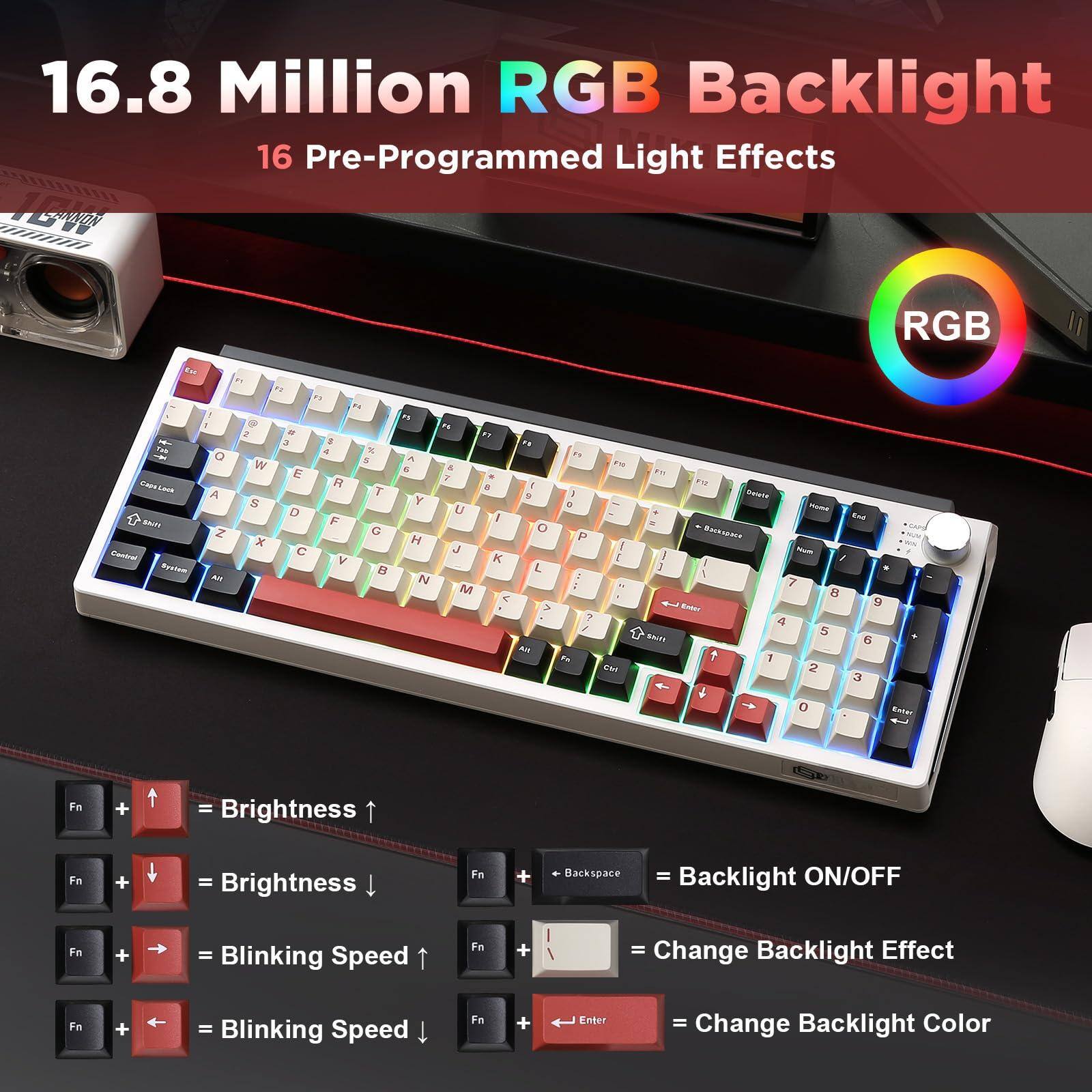 16.8 Million RGB Backlight  
16 Pre-Programmed Light Effects  

- Fn + ↑ = Brightness ↑  
- Fn + ↓ = Brightness ↓  
- Fn + → = Blinking Speed ↑  
- Fn + ← = Blinking Speed ↓  
- Backspace = Backlight ON/OFF  
- Fn + = Change Backlight Effect  
- Enter = Change Backlight Color