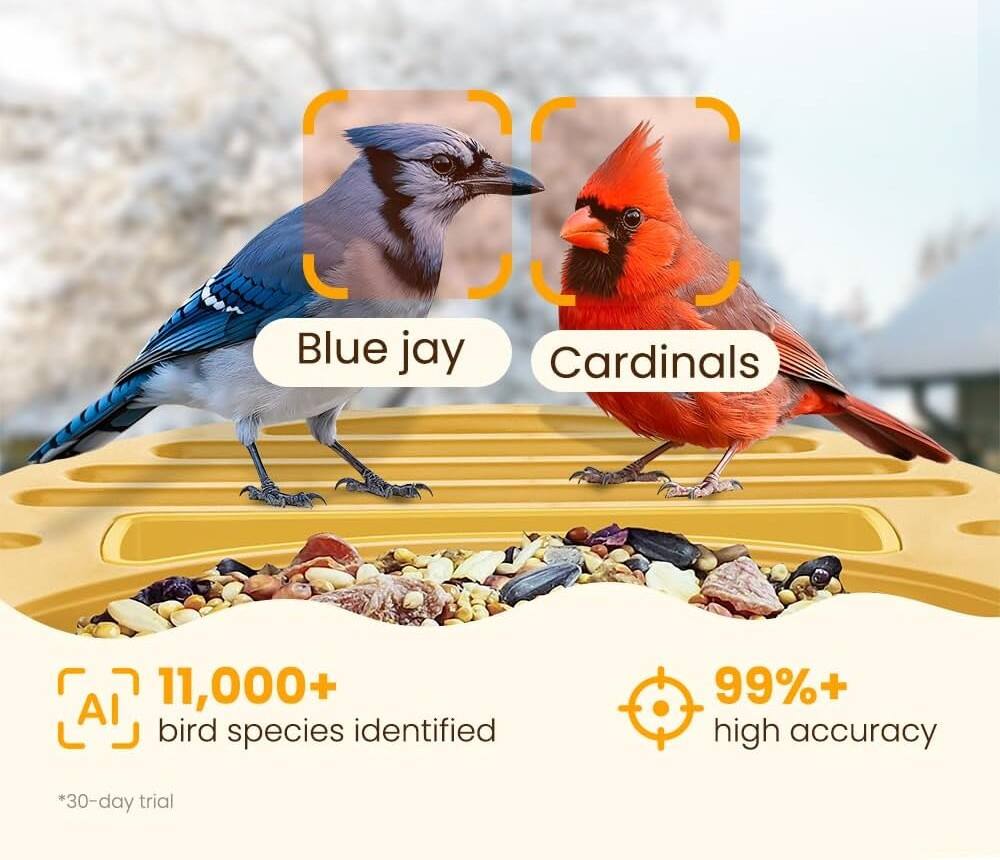 Blue jay  
Cardinals  

AI  
11,000+ bird species identified  
99%+ high accuracy  
*30-day trial
