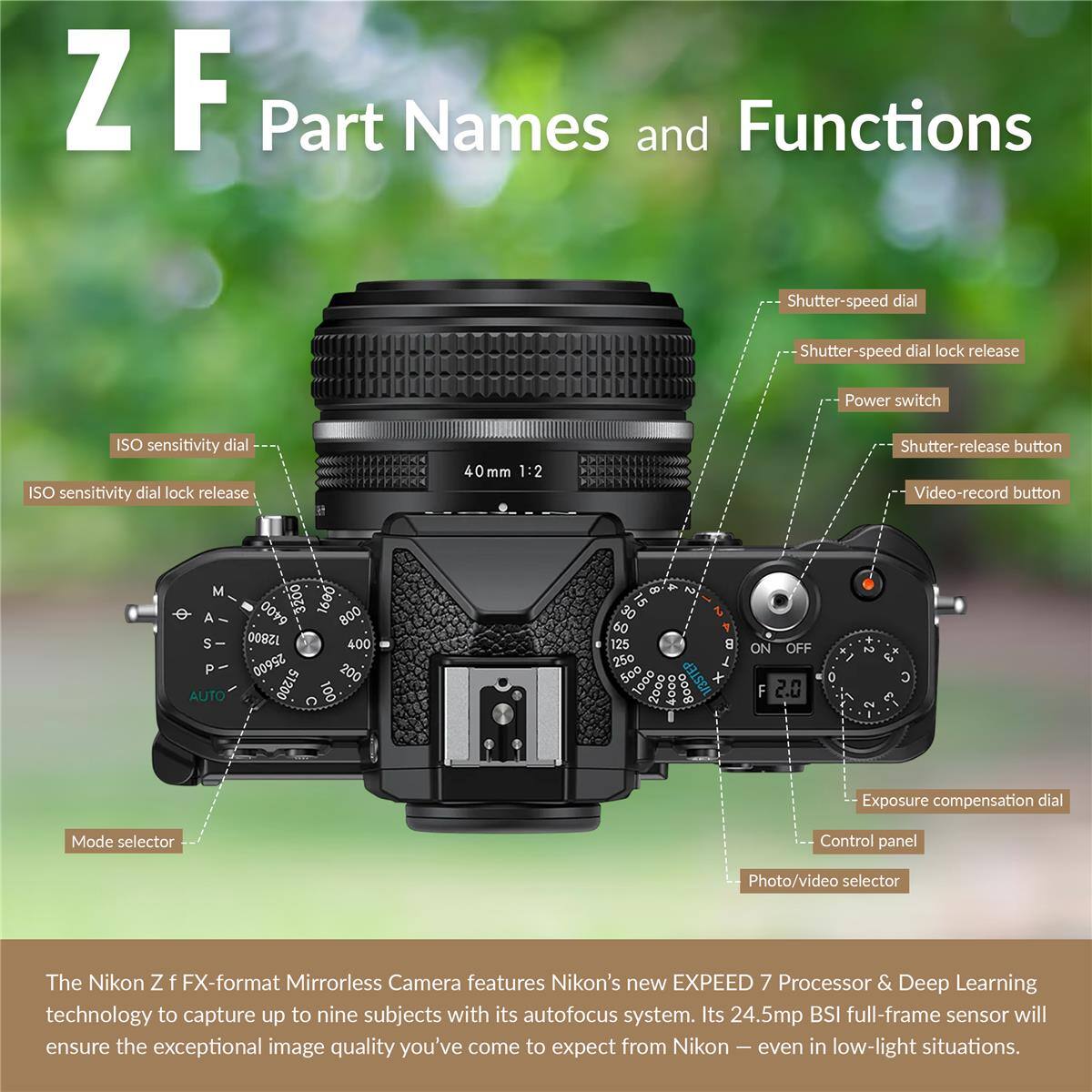 ZF Part Names and Functions

- Shutter-speed dial
- Shutter-speed dial lock release
- Power switch
- ISO sensitivity dial
- ISO sensitivity dial lock release
- 40 mm 1:2
- Shutter-release button
- Video-record button
- M A S P AUTO
- 6400 200 909 800 12800 400 25600 200 51200 100 8 15 30 T 60 T 125 250 500 1000
- U3STEP x 2000 000+
- Booo ON OFF
- F 2.0 0
- C
- Exposure compensation dial
- Mode selector
- Control panel
- Photo/video selector

The Nikon Z FX-format Mirrorless Camera features Nikon's new EXPEED 7 Processor & Deep Learning technology to capture up to nine subjects with its autofocus system. Its 24.5mp BSI full-frame sensor will ensure the exceptional image quality you've come to expect from Nikon even in low-light situations