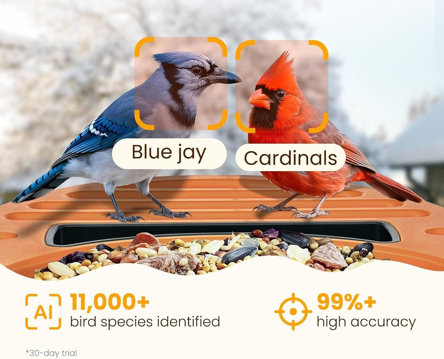 Blue jay  
Cardinals  

AI  
11,000+ bird species identified  

99%+ high accuracy  

*30-day trial
