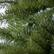 Alt View 5. Home Heritage - Home Heritage 7 Foot Brighampton Spruce Artificial Christmas Tree with LED Light - Green.