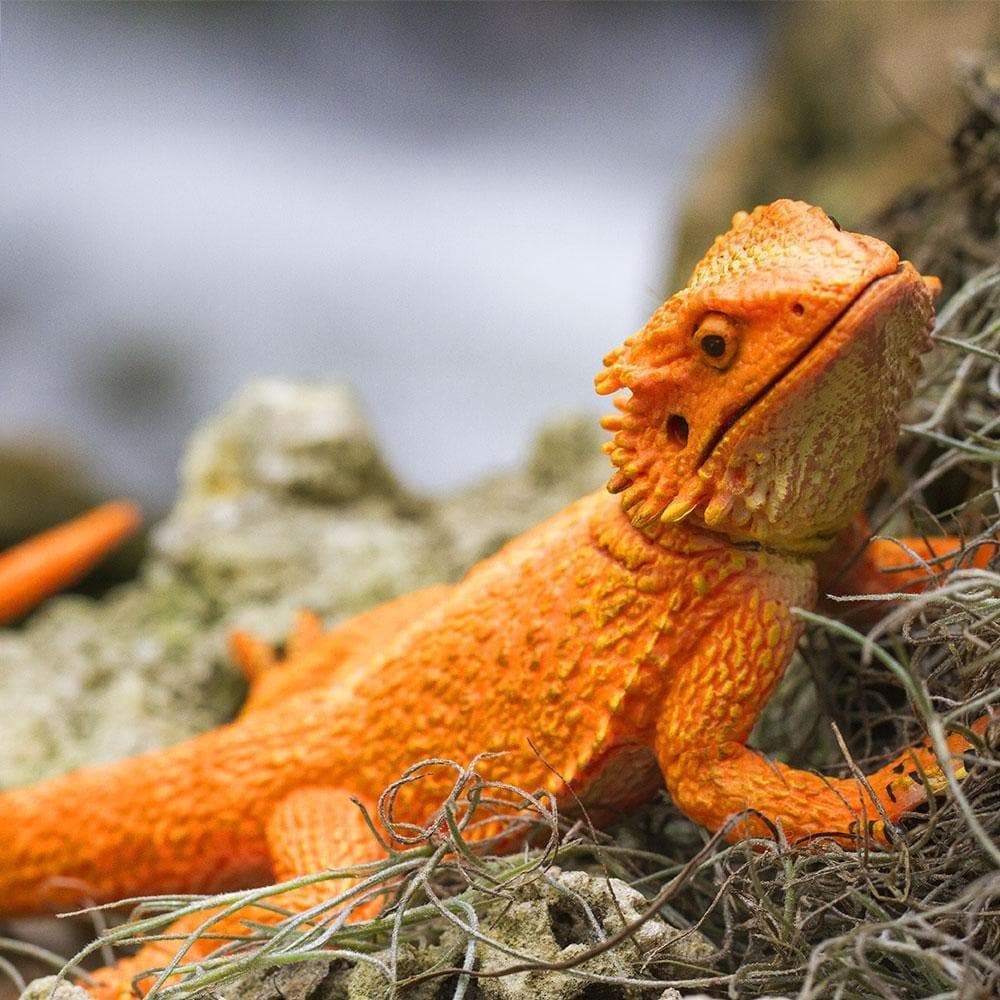 Back. Safari Ltd. - Bearded Dragon Toy Figurine.