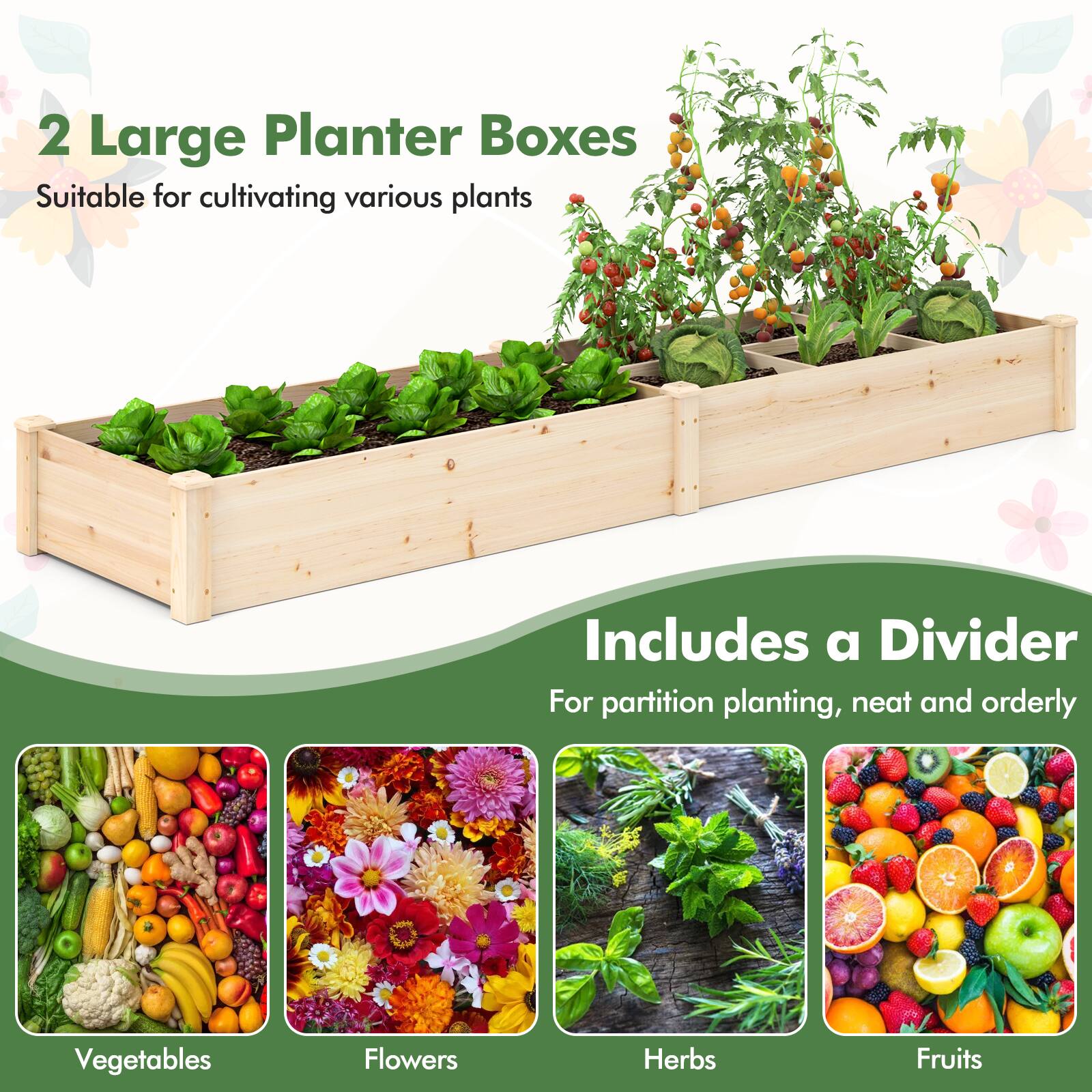 2 Large Planter Boxes  
Suitable for cultivating various plants  

Includes a Divider  
For partition planting, neat and orderly  

Vegetables  
Flowers  
Herbs  
Fruits