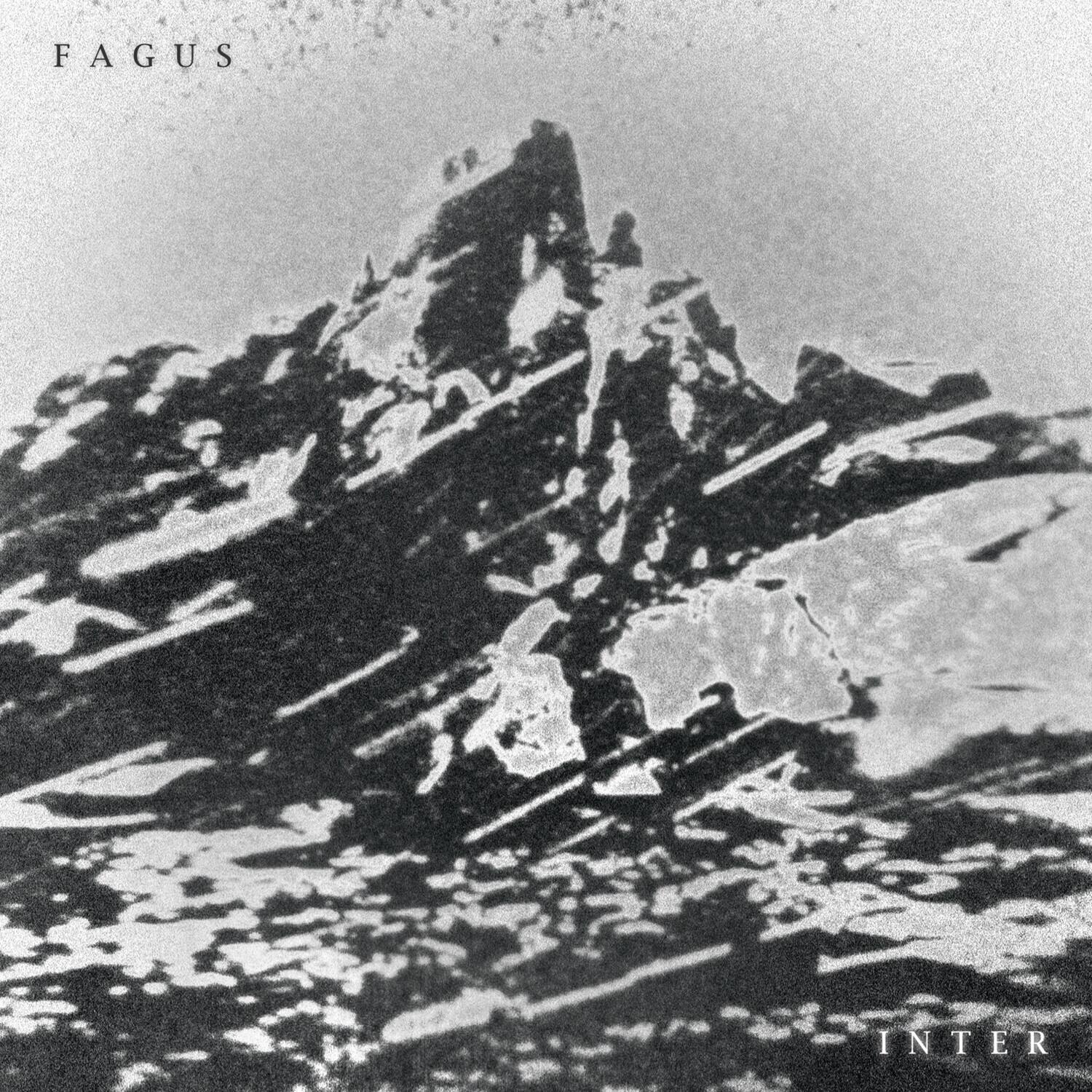 Fagus - Inter   - COMPACT DISCS [CD] price history on PriceWatchPro