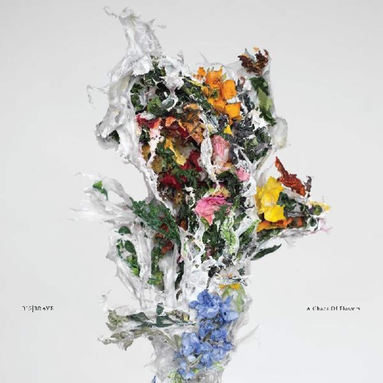 Big/Brave - A Chaos of Flowers   - VINYL LP price history on PriceWatchPro