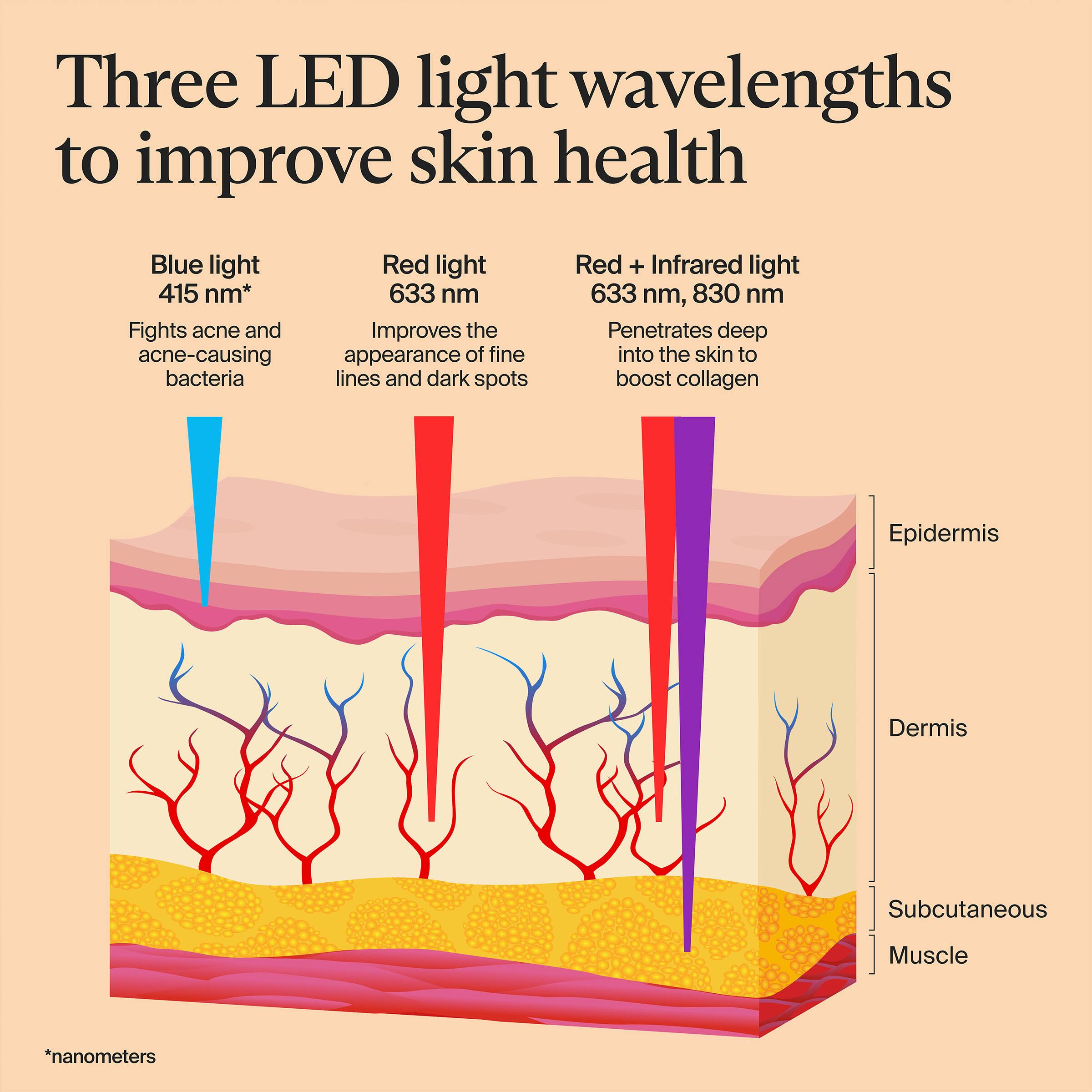 Three LED light wavelengths to improve skin health

- Blue light 415 nm*
  - Fights acne and acne-causing bacteria

- Red light 633 nm
  - Improves the appearance of fine lines and dark spots

- Red + Infrared light 633 nm, 830 nm
  - Penetrates deep into the skin to boost collagen

*nanometers

Epidermis  
Dermis  
Subcutaneous Muscle