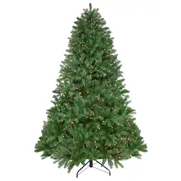 Northlight - 6.5' Pre-Lit Full Sierra Noble Fir Artificial Christmas Tree, Clear Lights - Green