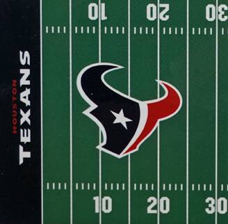 HOUSTON TEXANS  
10 20 30