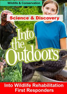 Into Wildlife Rehabilitation First Responders - DVD