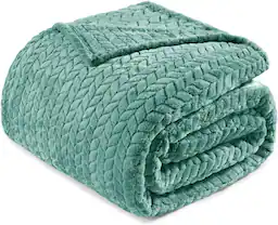 color:Celadon+size:Queen(90x90IN)