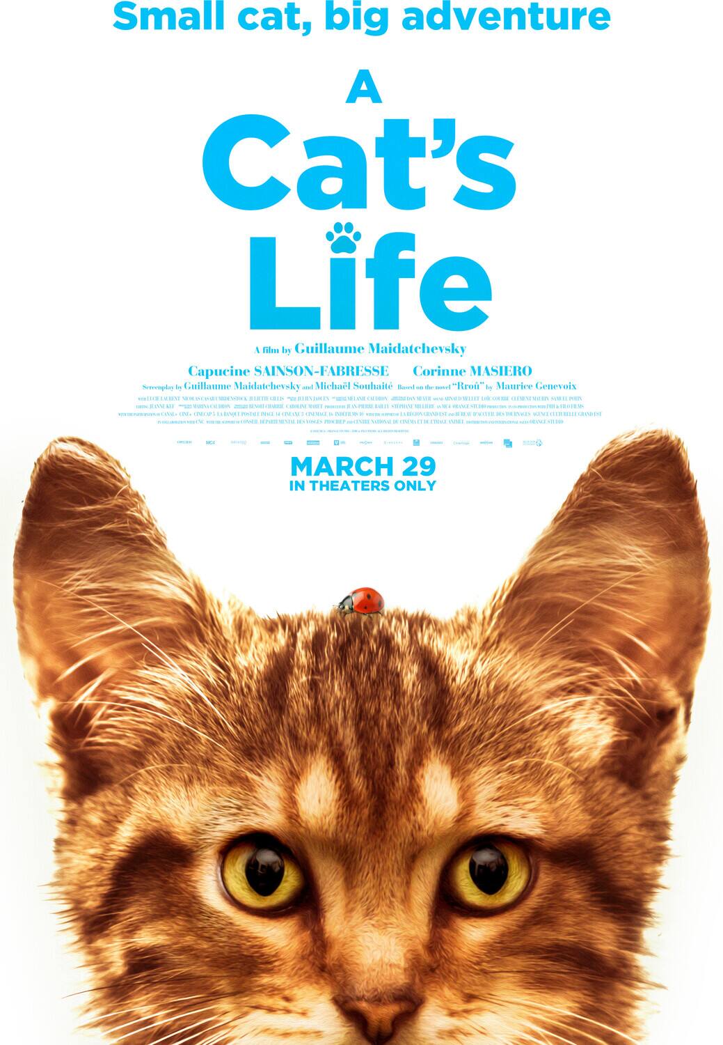 Front. Cat's Life   - DVD.