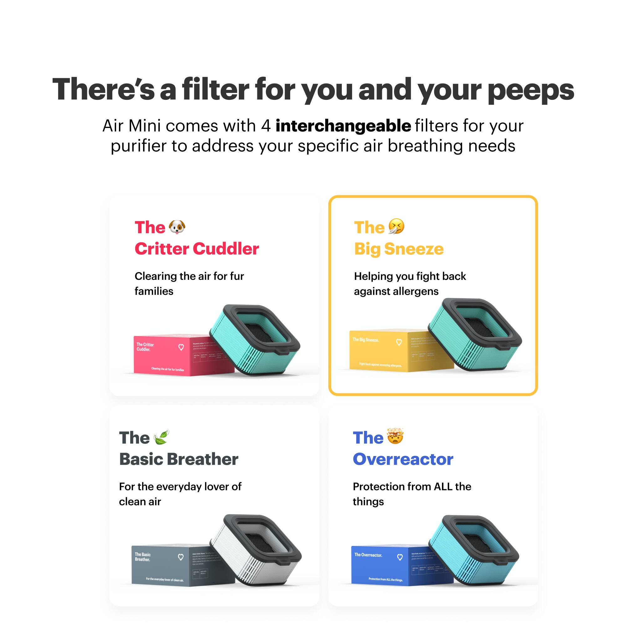 There's a filter for you and your peeps. Air Mini comes with 4 interchangeable filters for your purifier to address your specific air breathing needs.

1. The Critter Cuddler: Clearing the air for fur families. Helping you fight back against allergens.
2. The Big Sneeze: Clearing the air for fur families. Helping you fight back against allergens.
3. The Basic Breather: For the everyday lover of clean air. Protection from ALL the things.
4. The Overreactor: For the everyday lover of clean air. Protection from ALL the things.