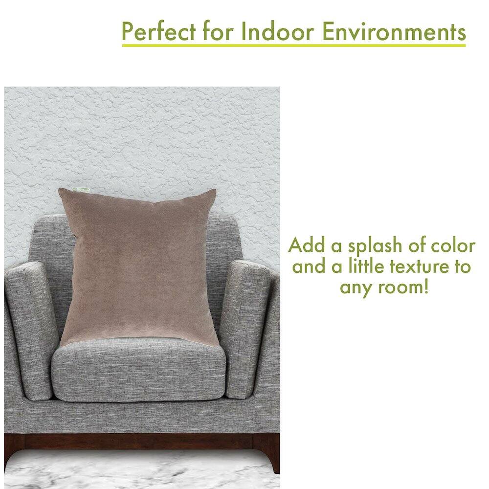 Perfect for Indoor Environments

Add a splash of color and a little texture to any room!