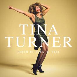 Tina Turner - Queen Of Rock N Roll - VINYL LP
