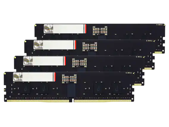 G.SKILL - SKILL SKILL. - W E G.SKILL 1