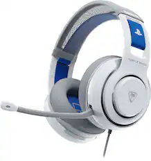 The text on the image is "TURTLE BEACH."