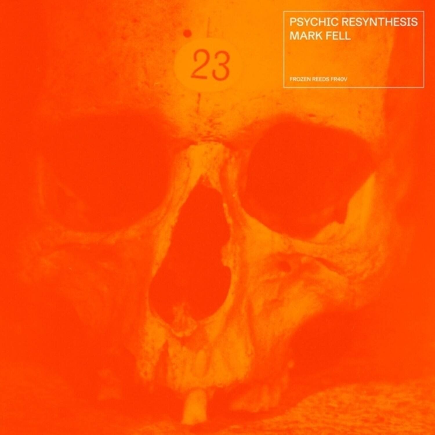 Mark Fell - Psychic Resynthesis   - VINYL LP price history on PriceWatchPro