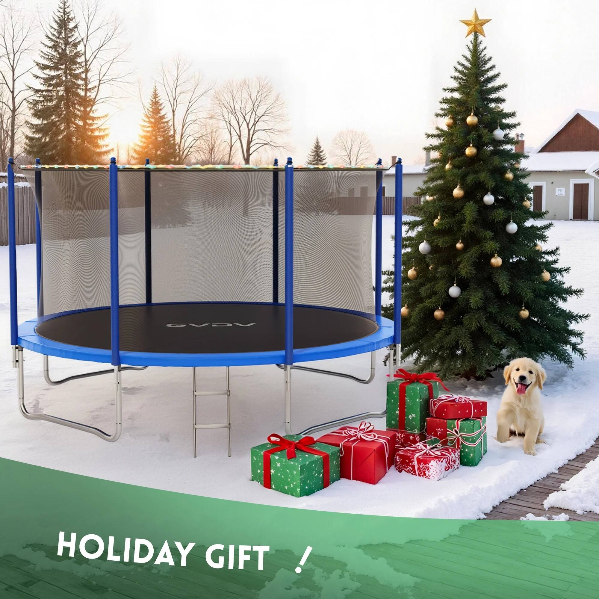 VGVA  
HOLIDAY GIFT!