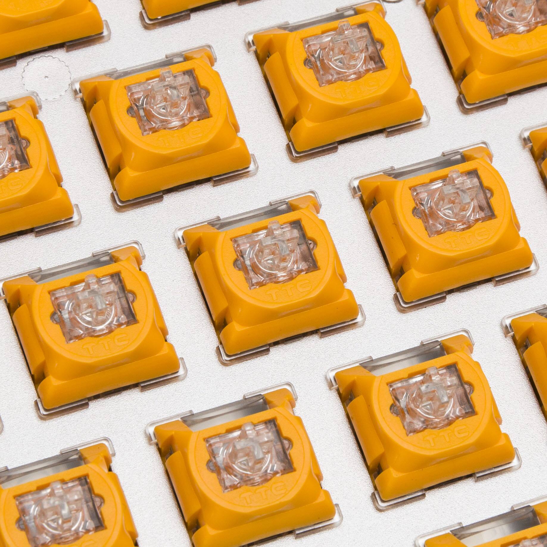 The text on the image reads "TTC TTC TTC TTC TTC TTC TTC TTC TTC TTC TTC TTC TTC TTC TTC TTC TTC TTC TTC TTC TTC TTC TTC TTC TTC TTC TTC TTC TTC TTC TTC TTC TTC TTC TTC TTC TTC TTC TTC TTC TTC TTC TTC TTC TTC TTC TTC TTC TTC TTC TTC TTC TTC TTC TTC TTC TTC TTC TTC TTC TTC TTC TTC TTC TTC TTC TTC TTC TTC TTC TTC TTC TTC TTC TTC TTC TTC TTC TTC TTC TTC TTC TTC TTC TTC TTC TTC TTC TTC TTC TTC TTC TTC TTC TTC TTC TTC TTC TTC TTC TTC TTC TTC TTC TTC TTC TTC TTC TTC TTC TTC TTC TTC TTC TTC TTC TTC TTC TTC TTC TTC TTC TTC TTC TTC TTC TTC TTC TTC TTC TTC TTC TTC TTC TTC TTC TTC TTC TTC TTC TTC TTC TTC TTC TTC TTC TTC TTC TTC TTC TTC TTC TTC TTC TTC TTC TTC TTC TTC TTC TTC TTC TTC TTC TTC TTC TTC TTC TTC TTC TTC TTC TTC TTC TTC TTC TTC TTC TTC TTC TTC TTC TTC TTC TTC TTC TTC TTC TTC TTC TTC TTC TTC TTC TTC TTC TTC TTC TTC TTC TTC TTC TTC TTC TTC TTC TTC TTC TTC TTC TTC TTC TTC TTC TTC TTC TTC TTC TTC TTC TTC TTC TTC TTC TTC TTC TTC TTC TTC TTC TTC TTC TTC TTC TTC TTC TTC TTC TTC TTC TTC TTC TTC TTC TTC TTC TTC TTC TTC TTC TTC TTC T