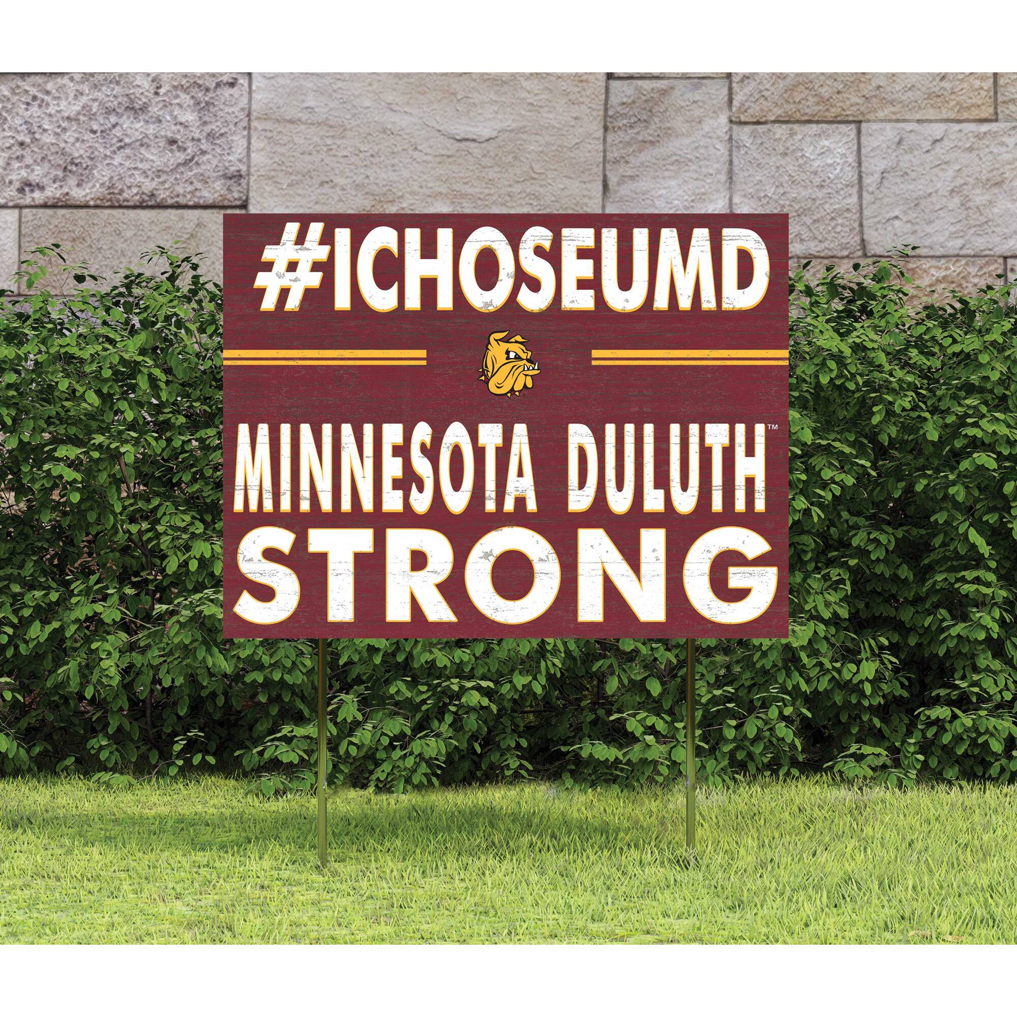 #ICHOOSEUMD  
MINNESOTA DULUTH  
STRONG