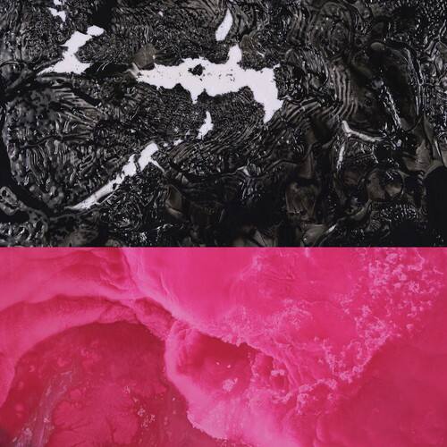 Front. Rafiq Bhatia - Breaking English   - VINYL LP .