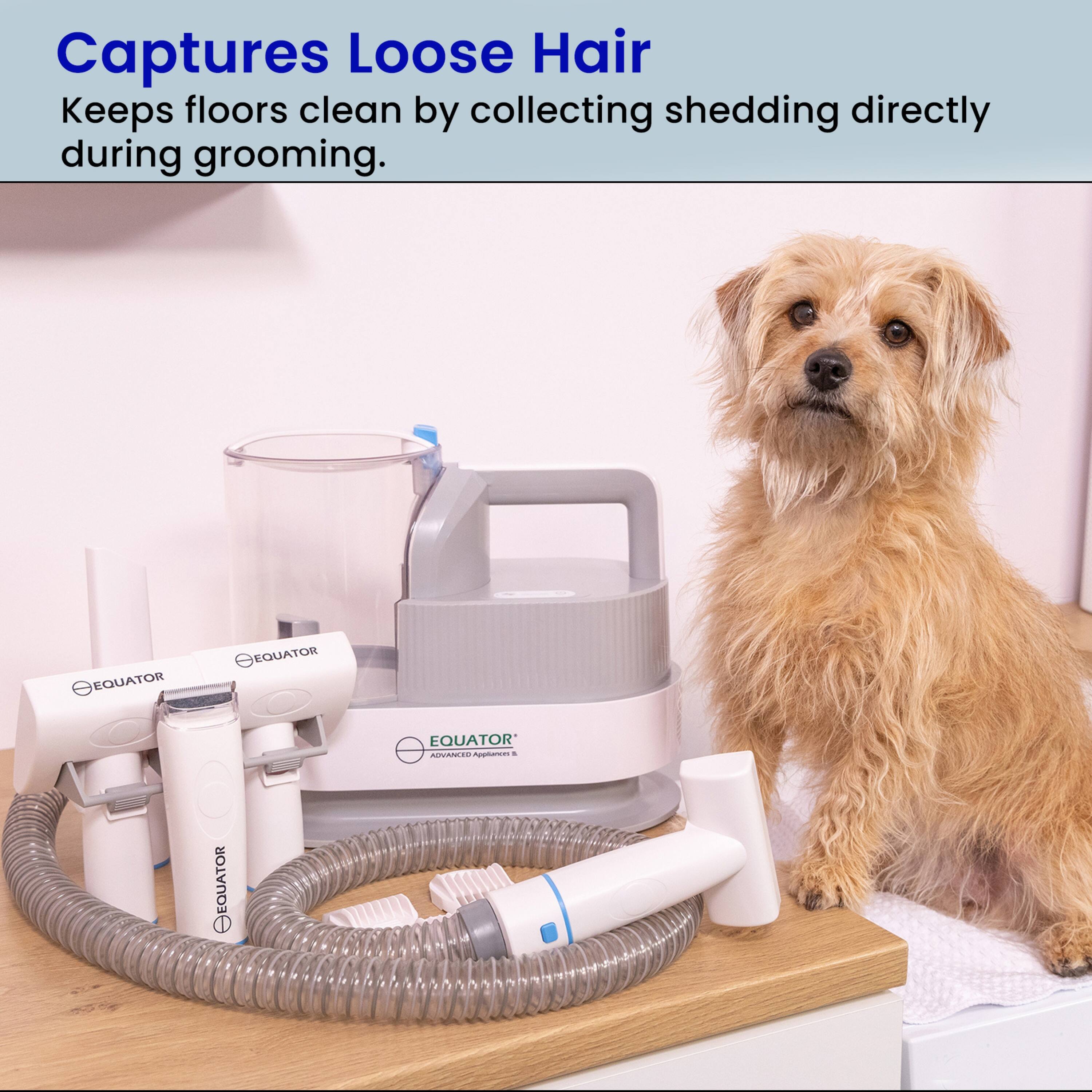 Captures Loose Hair  
Keeps floors clean by collecting shedding directly during grooming.  

EQUATOR  
EQUATOR  
EQUATOR  
EQUATOR